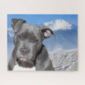 Pitbullterriër. Legpuzzel (Horizontaal)