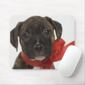 Pitbulppupil met rood lintje muismat (Met muis)