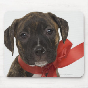 Pitbulppupil met rood lintje muismat
