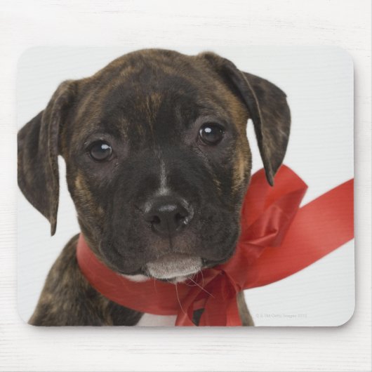 Pitbulppupil met rood lintje muismat (Voorkant)
