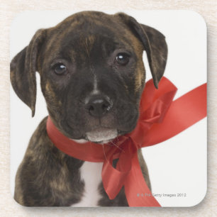 Pitbulppupil met rood lintje onderzetter