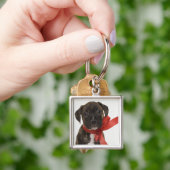 Pitbulppupil met rood lintje sleutelhanger (Hand)