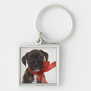 Pitbulppupil met rood lintje sleutelhanger