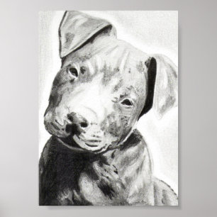 Pitbulppuppy in potlood, gedrukt door Jacob Grimm Poster