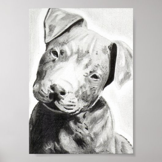 Pitbulppuppy in potlood, gedrukt door Jacob Grimm Poster (Voorkant)