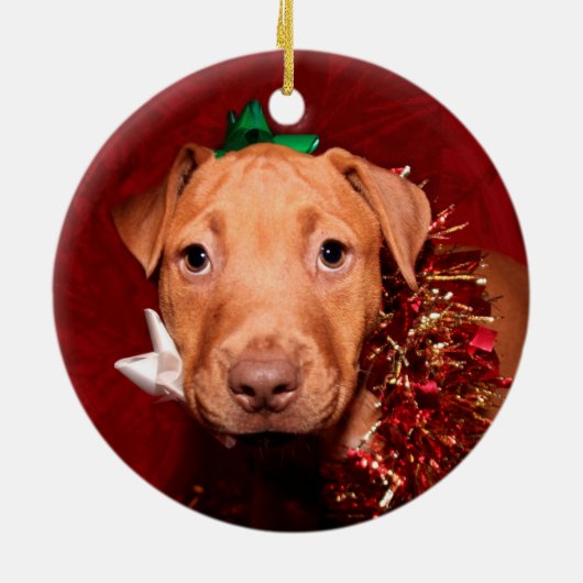 Pitbulppuppy Kerstmis Keramisch Ornament (Achterkant)