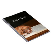 Pitbulppuppy leest notitieboek (Rechterzijde)