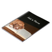 Pitbulppuppy leest notitieboek (Linkerzijde)