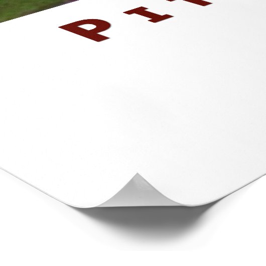 Pitcher of Plums-Poster Poster (Hoek)