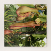 Pitcher-Plant, aap-punten met blauwflesje Legpuzzel (Horizontaal)