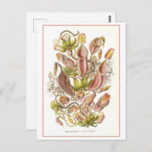  Pitcher Plant Bloemenboek Illustratie Briefkaart (Voorkant / Achterkant)