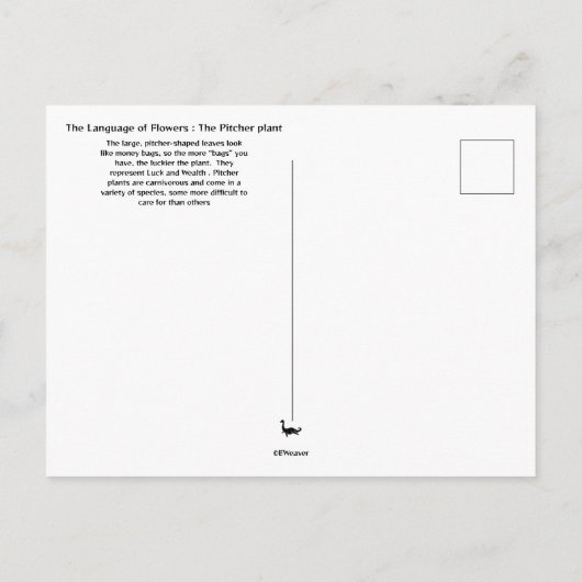 Pitcher Plant Briefkaart (Achterkant)