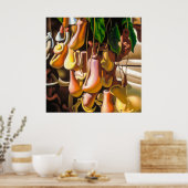 Pitcher-Plant - Canvas Art-afdrukken Poster (Keuken)