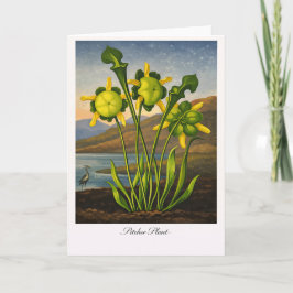 Pitcher Plant — Modern Botanical Reinterpretation Kaart