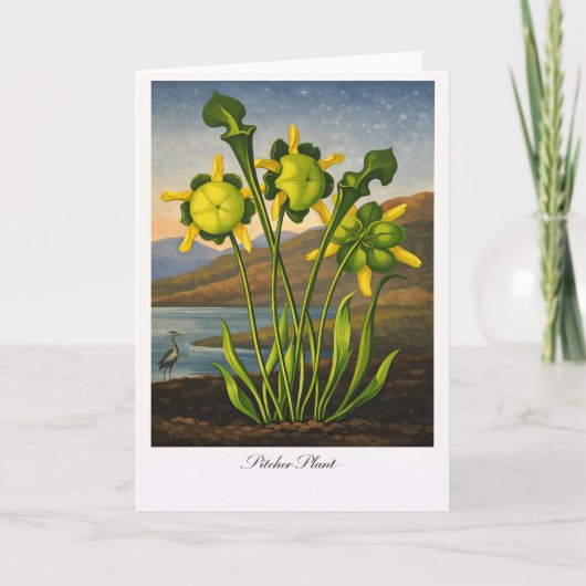 Pitcher Plant — Modern Botanical Reinterpretation Kaart (Voorkant)