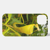 Pitcher Plant Nepenthes Carnivorous Nature Photo iPhone Hoesje (Achterkant horizontaal)