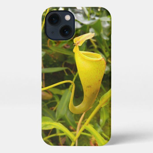 Pitcher Plant Nepenthes Carnivorous Nature Photo iPhone Hoesje (Achterkant)