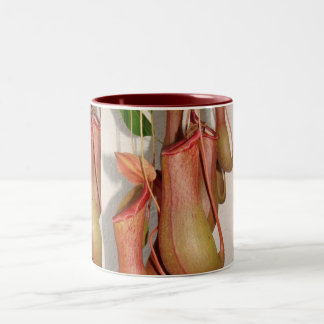 Pitcher Plant Tweekleurige Koffiemok