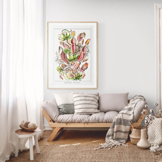 Pitcher-Plant (wit) |  Ernst Haeckel Poster
