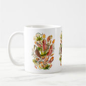 Pitcher-Planten Koffiemok (Links)