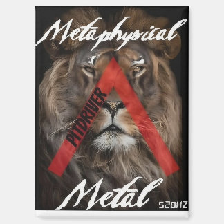 PitDriver Logo-magneet Magneet