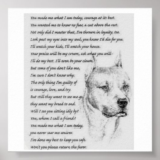 pitpoem poster (Voorkant)