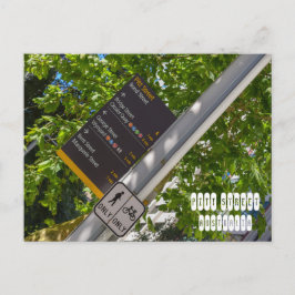 Pitt Street Briefkaart