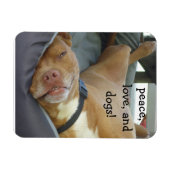 Pittbull Dog - Vrede, Liefde en Honden Magneet (Horizontaal)