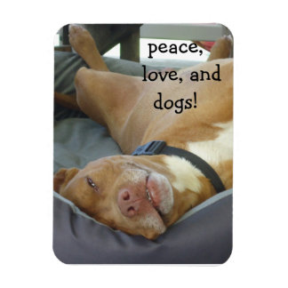 Pittbull Dog - Vrede, Liefde en Honden Magneet