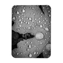 Pitter Patter — 3 x 4 inch Flexibel fotomagneet