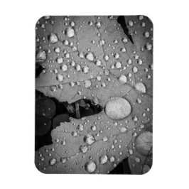 Pitter Patter — 3 x 4 inch Flexibel fotomagneet Magneet