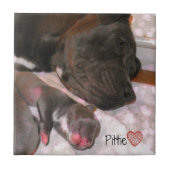Pittie Love Tegeltje (Voorkant)