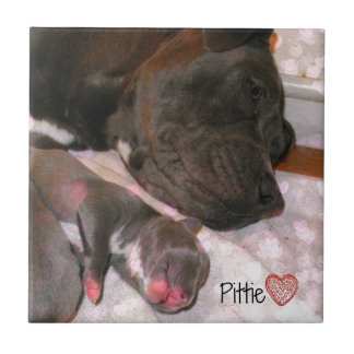 Pittie Love Tegeltje
