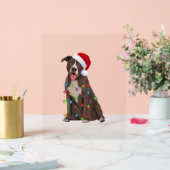 Pittie Pitbull Kerstverlichting Xmas Hondenliefheb Acryl Bord (Huwelijk)