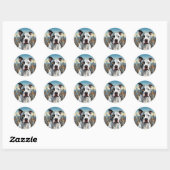 Pittie Pitbull Urban Dog Stickers (Vel)