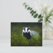 pittige das briefkaart (Staand voorkant)