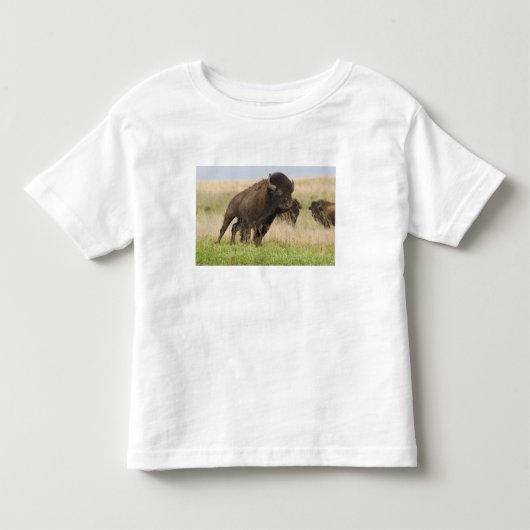 Pittige jonge bizonstier bij de Tallgrass Kinder Shirts (Voorkant)