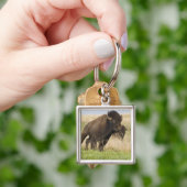 Pittige jonge bizonstier bij de Tallgrass Sleutelhanger (Hand)