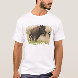 Pittige jonge bizonstier bij de Tallgrass T-shirt