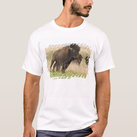 Pittige jonge bizonstier bij de Tallgrass T-shirt (Voorkant)
