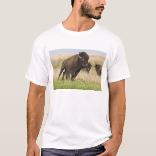 Pittige jonge bizonstier bij de Tallgrass T-shirt