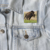 Pittige jonge bizonstier bij de Tallgrass Vierkante Button 5,1 Cm (In situ)