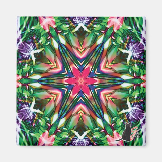 Pittige Kaleidoscoopmagneet Magneet (Voorkant)