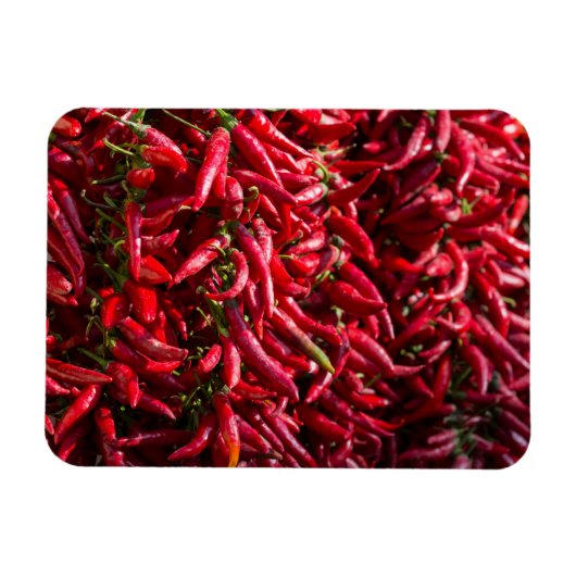 Pittige rode chili in de stad Kalocsa Magneet (Horizontaal)