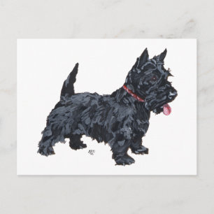 Pittige Scottie Hond Briefkaart