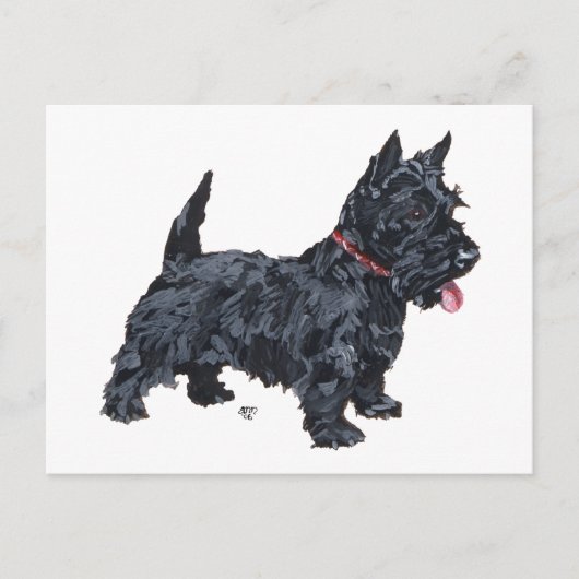 Pittige Scottie Hond Briefkaart (Voorkant)