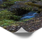 Pittoresk boswaterval landschap poster (Hoek)