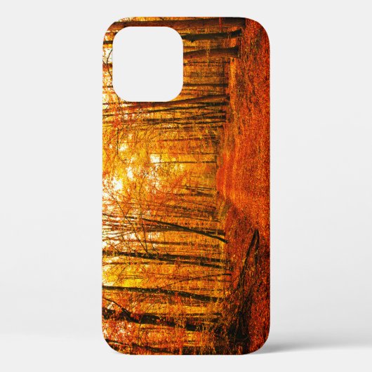 Pittoresk herfstweglandschap Case-Mate iPhone case (Achterkant)