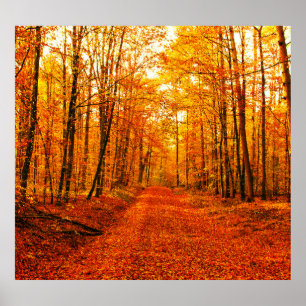 Pittoresk herfstweglandschap poster