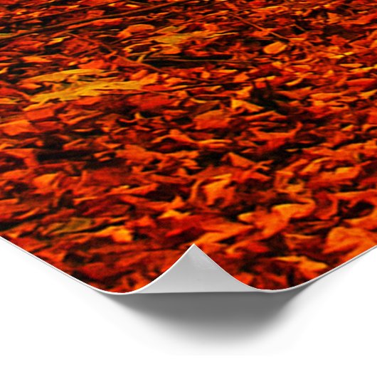 Pittoresk herfstweglandschap poster (Hoek)